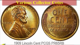 Coin Collector Gold