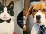 Como perros y gatos La revancha de... - Trailer español