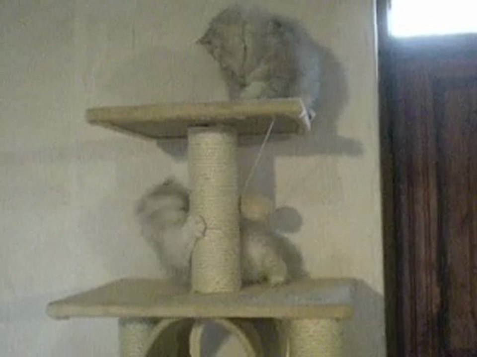 DUCHESSE ET PRINCESSE 2