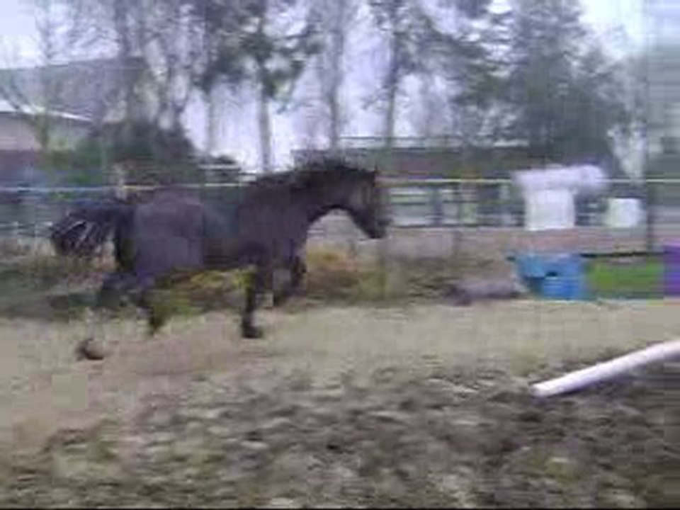 ulrika240110