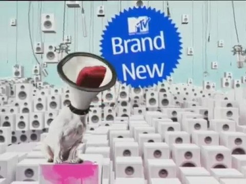 Promo Brand:New Tapete: JOÃO SÓ & ABANDONADOS