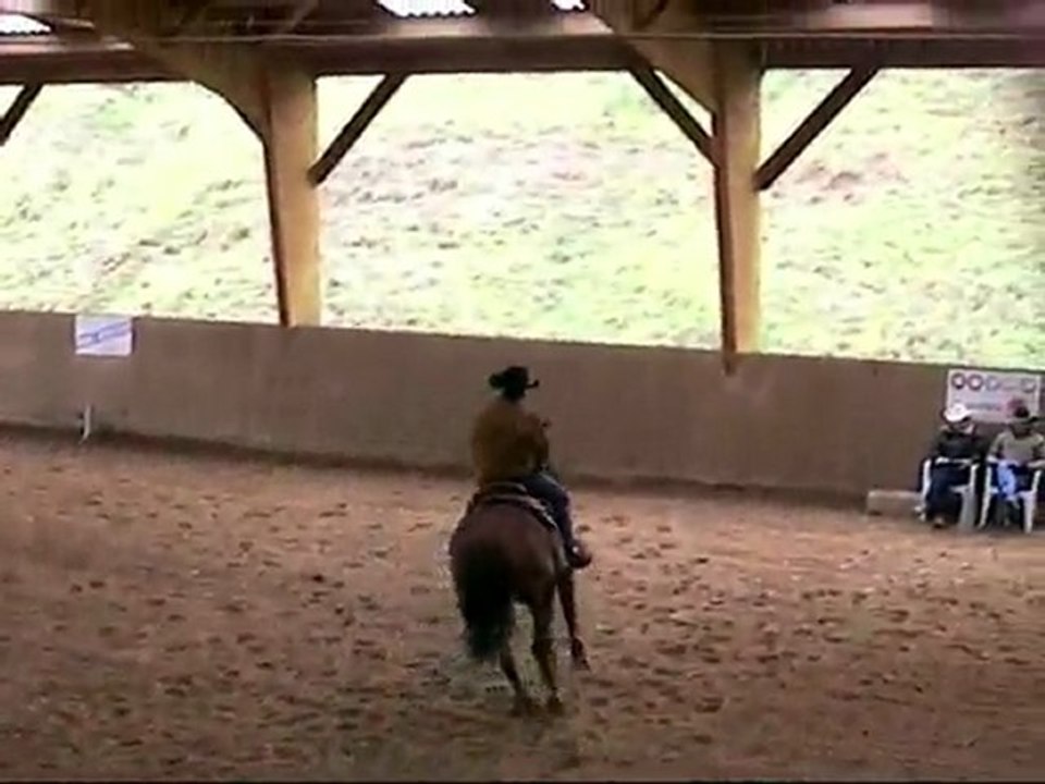 John & mistral reining