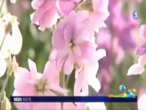 Franck prépare ses Fleurs pour le Carnaval de Nice 2010