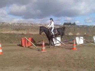 max et juju gym + oxer 11