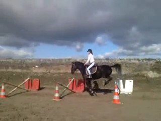 max et juju gym + oxer 9