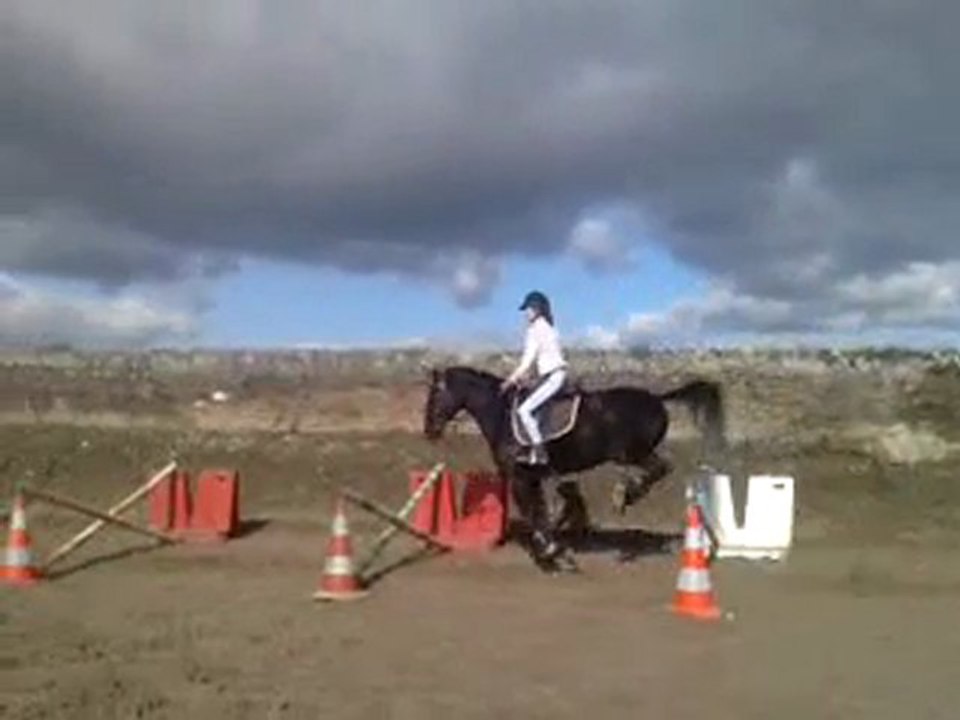 max et juju gym + oxer 9