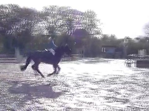 CSO Pont L'abbé Charlotte & Quézac E2p