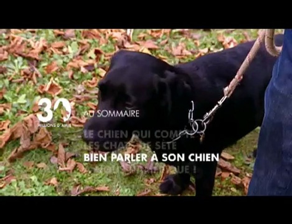 Sommaire émission 30 Millions d'Amis du 31 01 2010