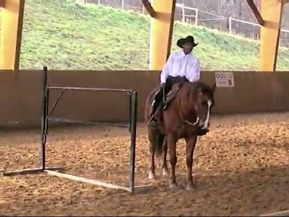 John & mistral (trail)