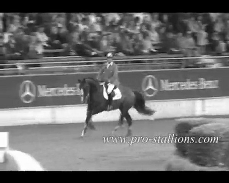 Cso ♥