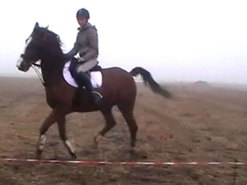 déplacement latéral 5