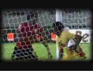 Compilation d'insolites des écureuils à la CAN