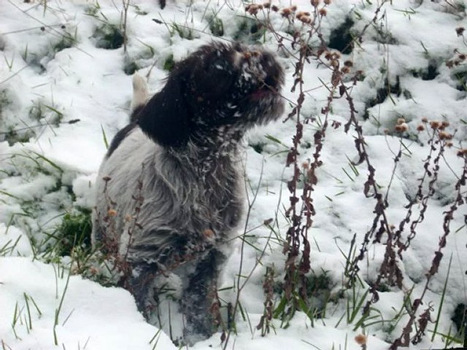 Era des Etangs d'ASSAT