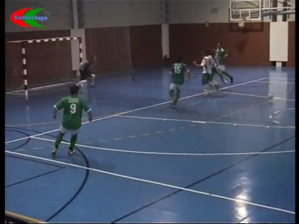 V.del Navia  - Piedradecor 2009