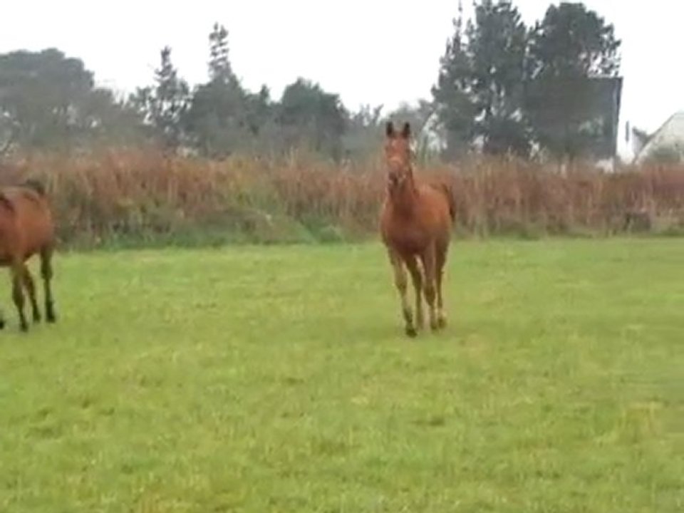 Essai ULYSSE