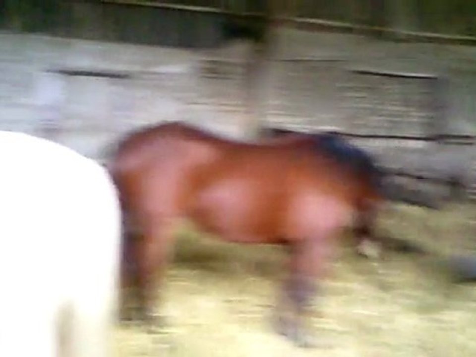 Ma plus belle vidéo...