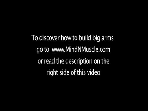 Bicep Muscles bicep-arms