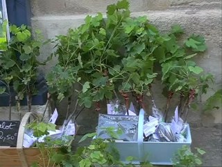 La Castagnère - Vacances Sympa chez Jacqueline et Jean-Pol