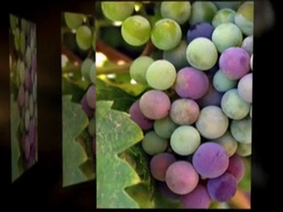 Consider A Wine Club Membership