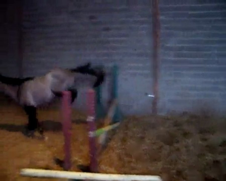 saut 10.01.210