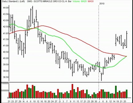 TraderInsight Stocks and Sectors on the Radar: Jan 27, 2010.