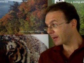 Indochinese tigers 'on the brink of extinction'