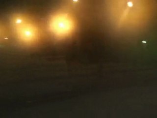 Run With The Wolves (Version II)