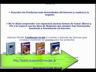 ¿Que (Tipos) de (Negocios) Funcionan en Internet?