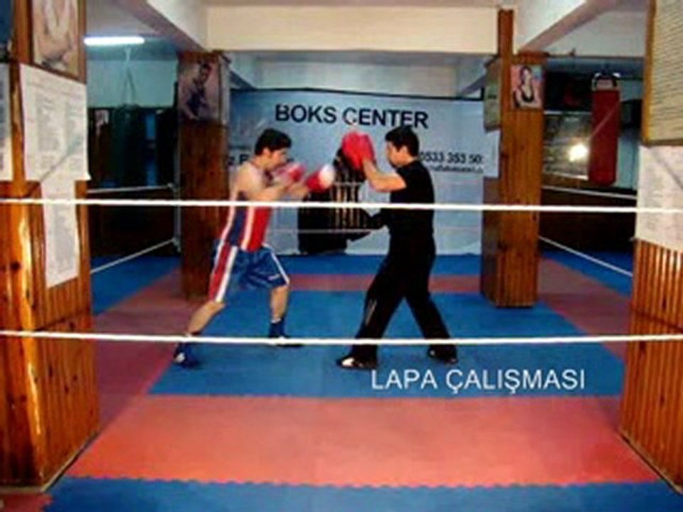 Boks Lapa Çalışması