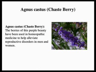 Female Aphrodisiac (5 tips to her libido)