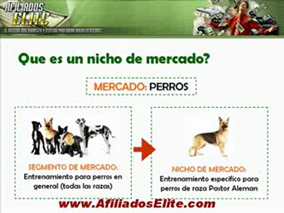 Afiliados Elite