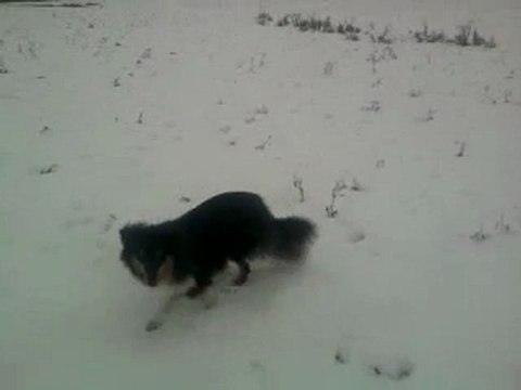 Enzo est un mongole.