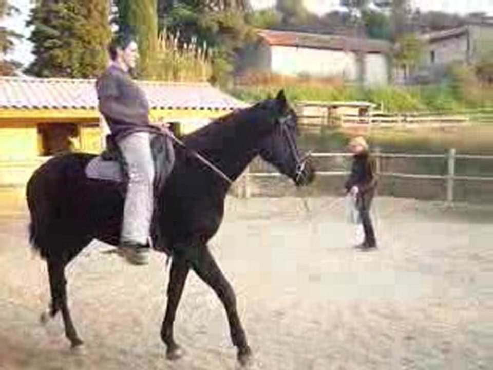 tao debourrage