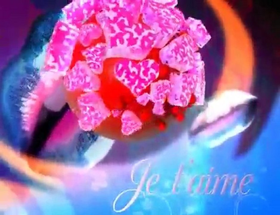 Carte saint valentin