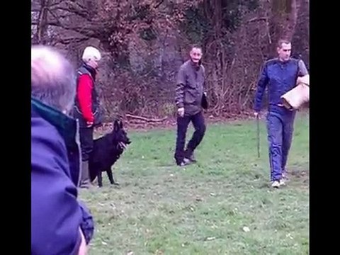 bawl des orckis de l'adret : défense