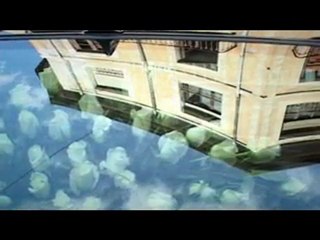 Floristeria Fernando - Bodas