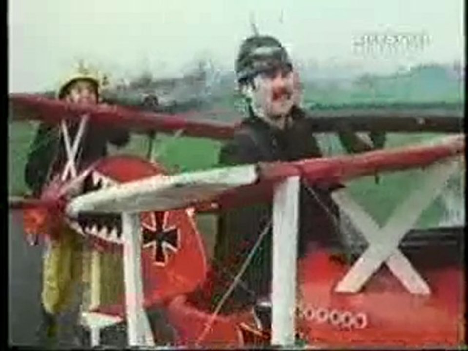 Red BULL Sparrows