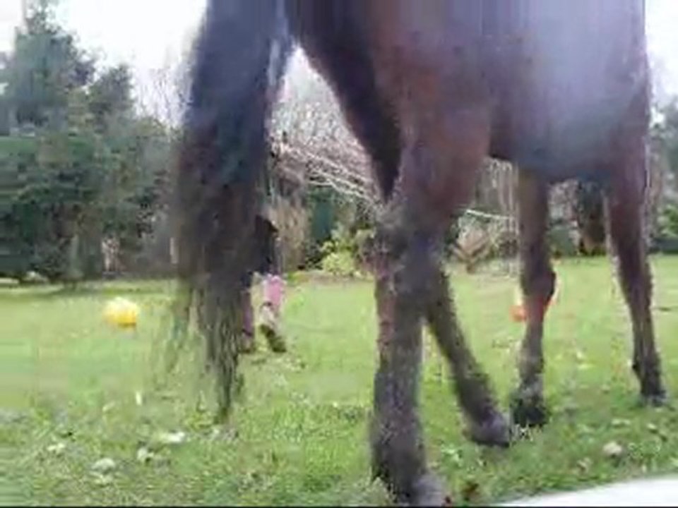 Placer ! travaille a pied