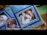 Watch Movie Meet the Fockers (Full,HD movie)