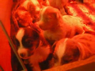 Bébés de D'jessy 27/01