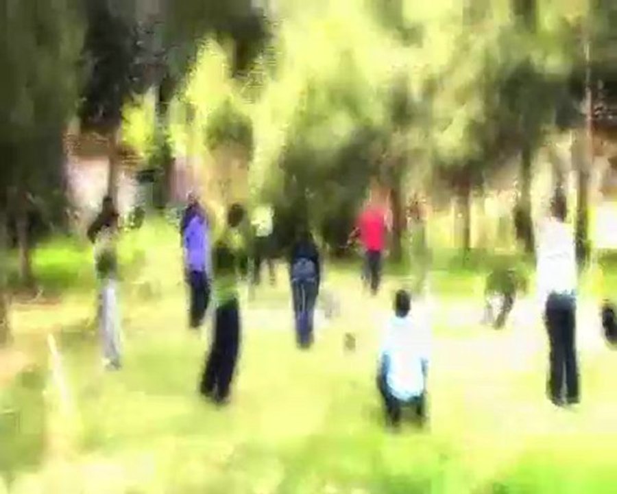 viranşehir