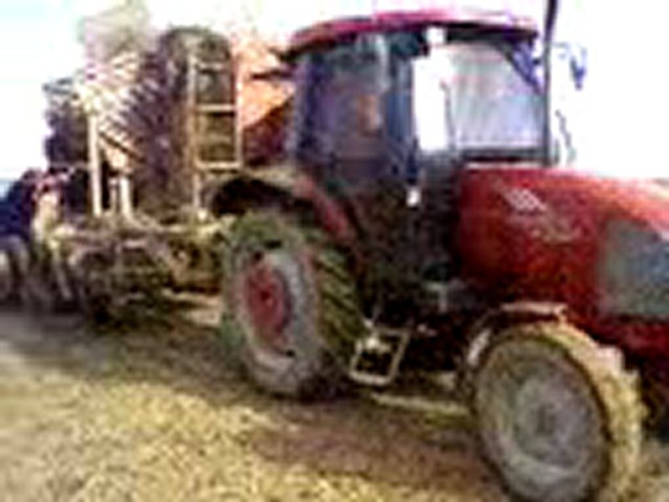 dedeler kasabası pancar sökümü