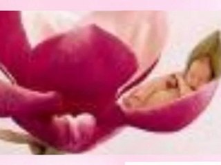 montage photos anne geddes