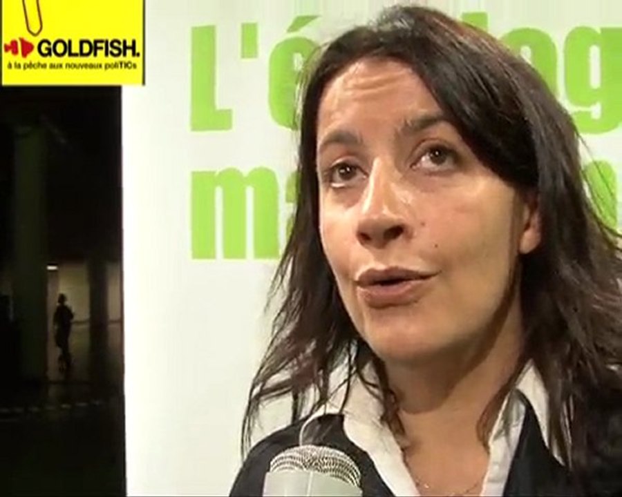 Cécile Duflot et la stratégie Web d'EuropeEcologie
