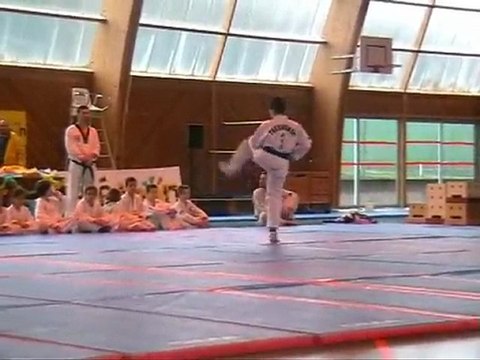 telethon 2009 tae kwon do