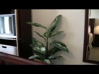 Ariel Dunes I Condos 2207 ResortQuest Destin, FL