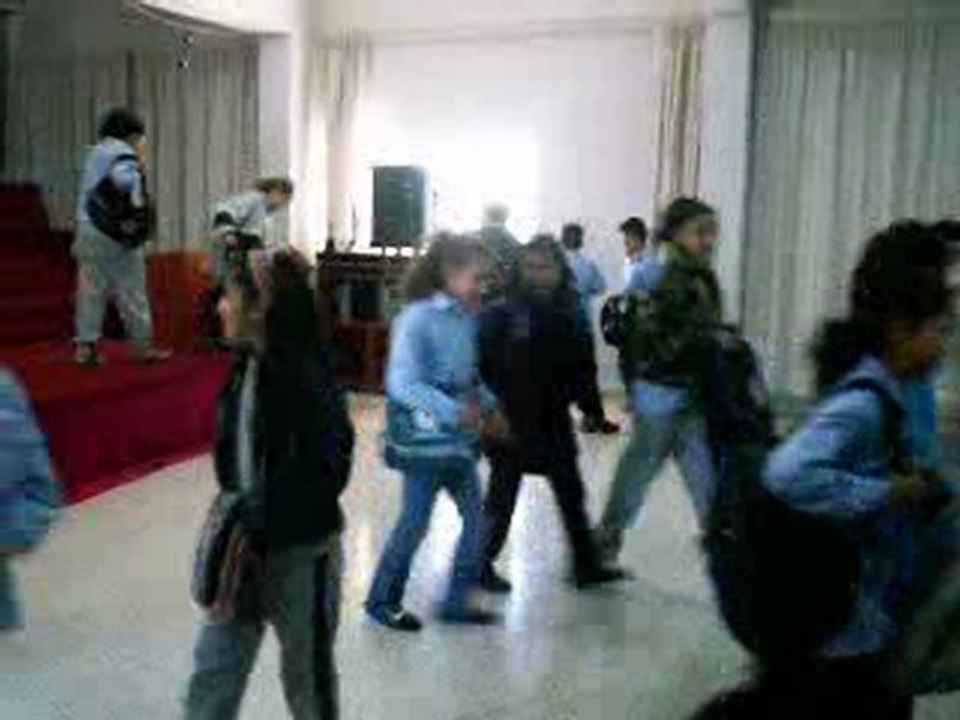 AMEL 2008