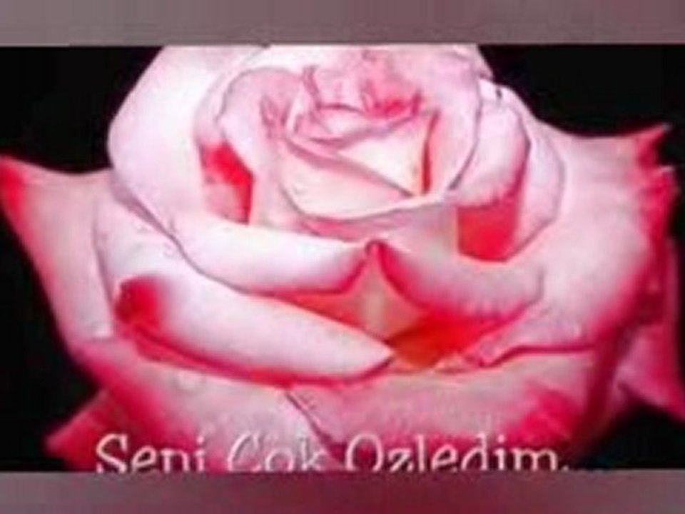 HARİKA PARÇA