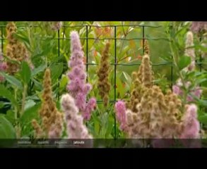 Loi Scellier en métropole