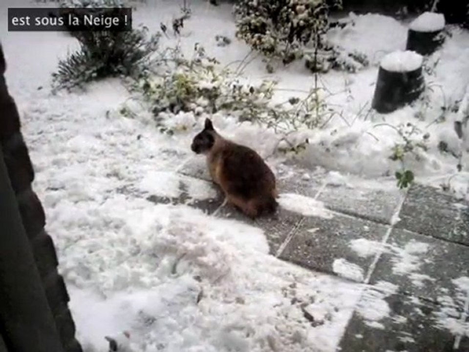 WINTER IN PEURSUM